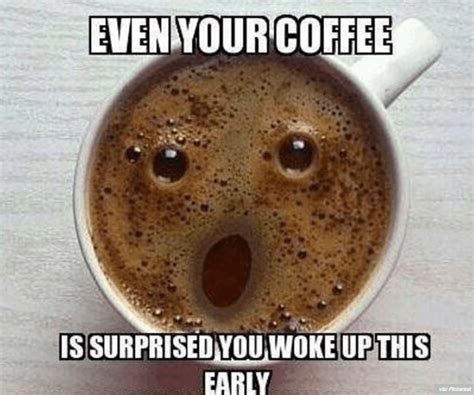 funny coffee memes 2024|funny yelling coffee pics.